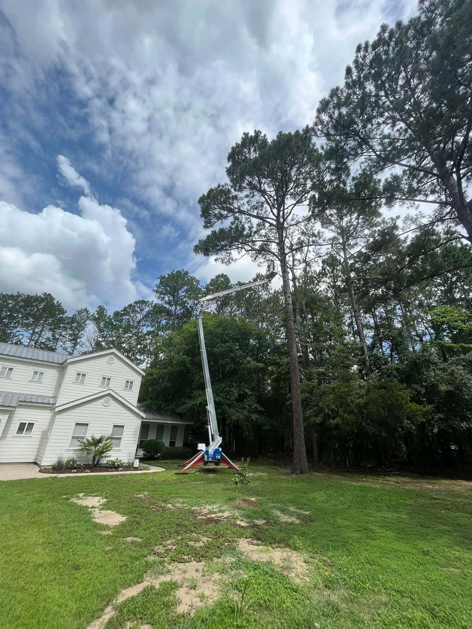 A white lift used for tree work stands in a residential yard next to a white house and tall pine trees under a cloudy sky.