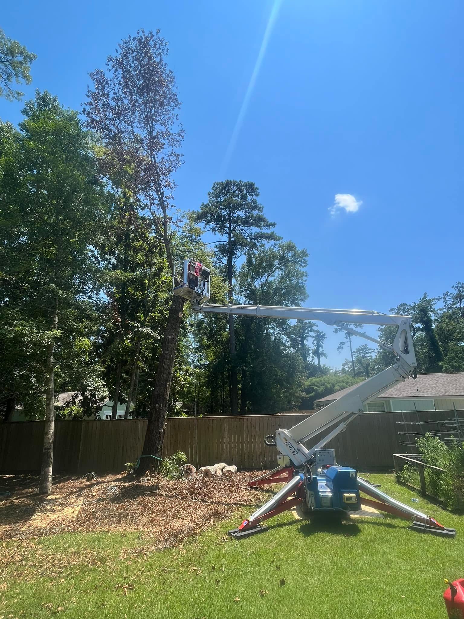 A worker in an elevated lift bucket trims the branches of a tall, partially dead tree in a residential backyard.