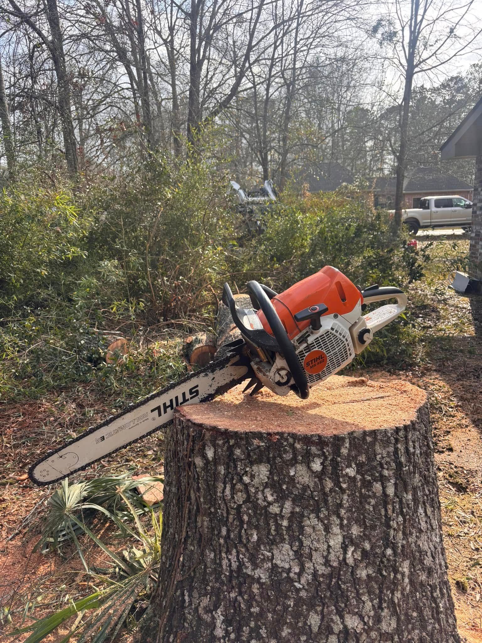 An orange and white Stihl chainsaw resting on top of a freshly cut tree stump in a wooded area.
