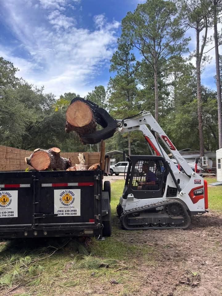 A white skid steer with a grapple attachment lifts a log into a black dump trailer in a wooded area.