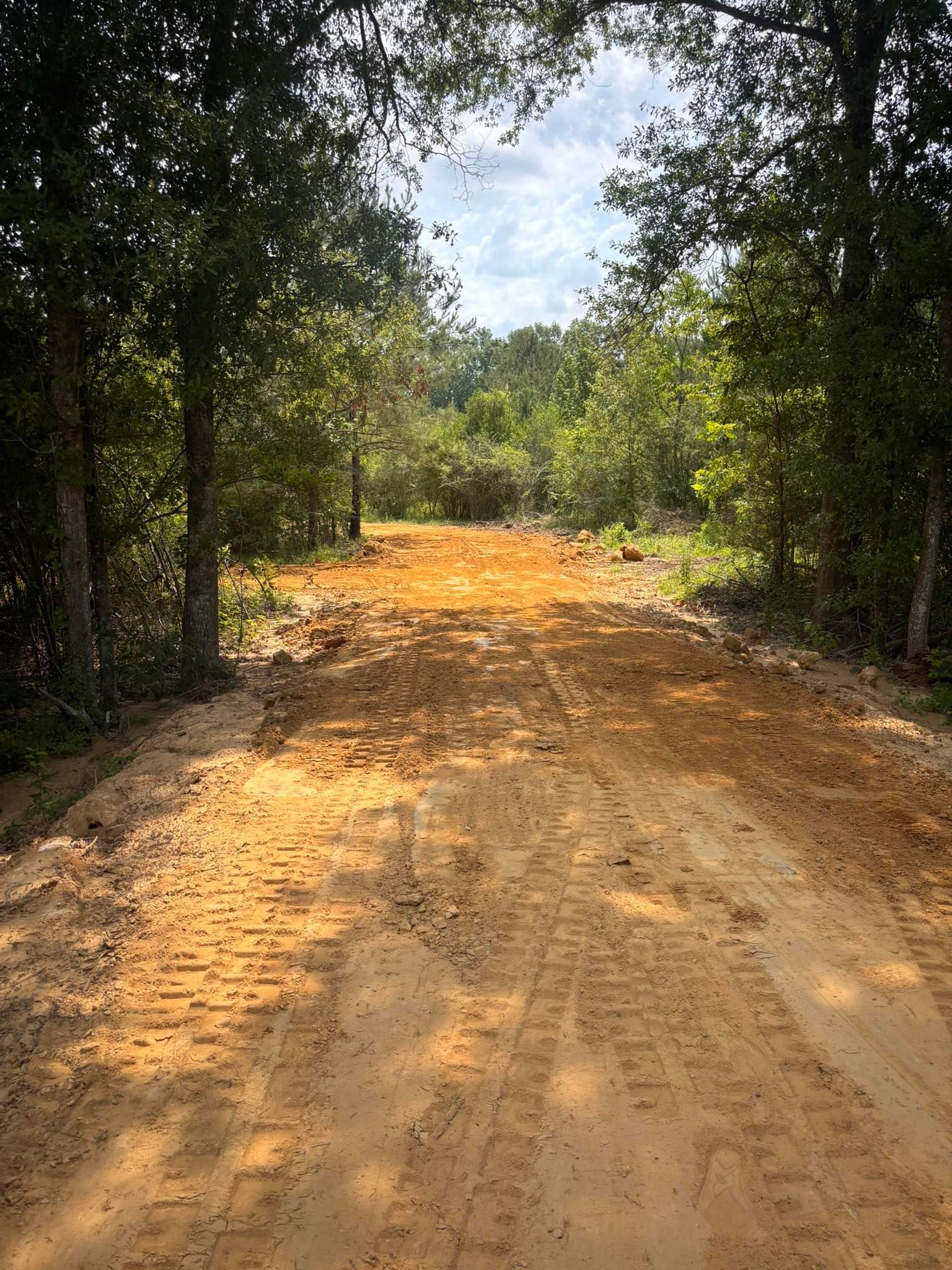 A dirt path leads through a wooded area under a blue sky, marked by vehicle tire tracks in the sandy, orange-toned soil.