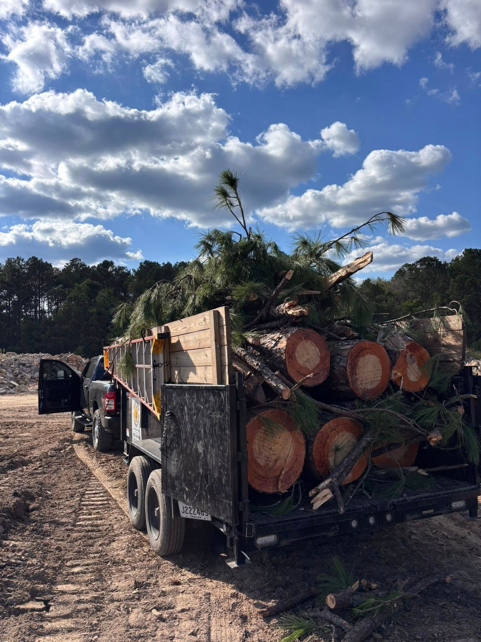 A truck and trailer loaded with freshly cut pine logs and branches parked on a dirt lot under a cloudy blue sky.