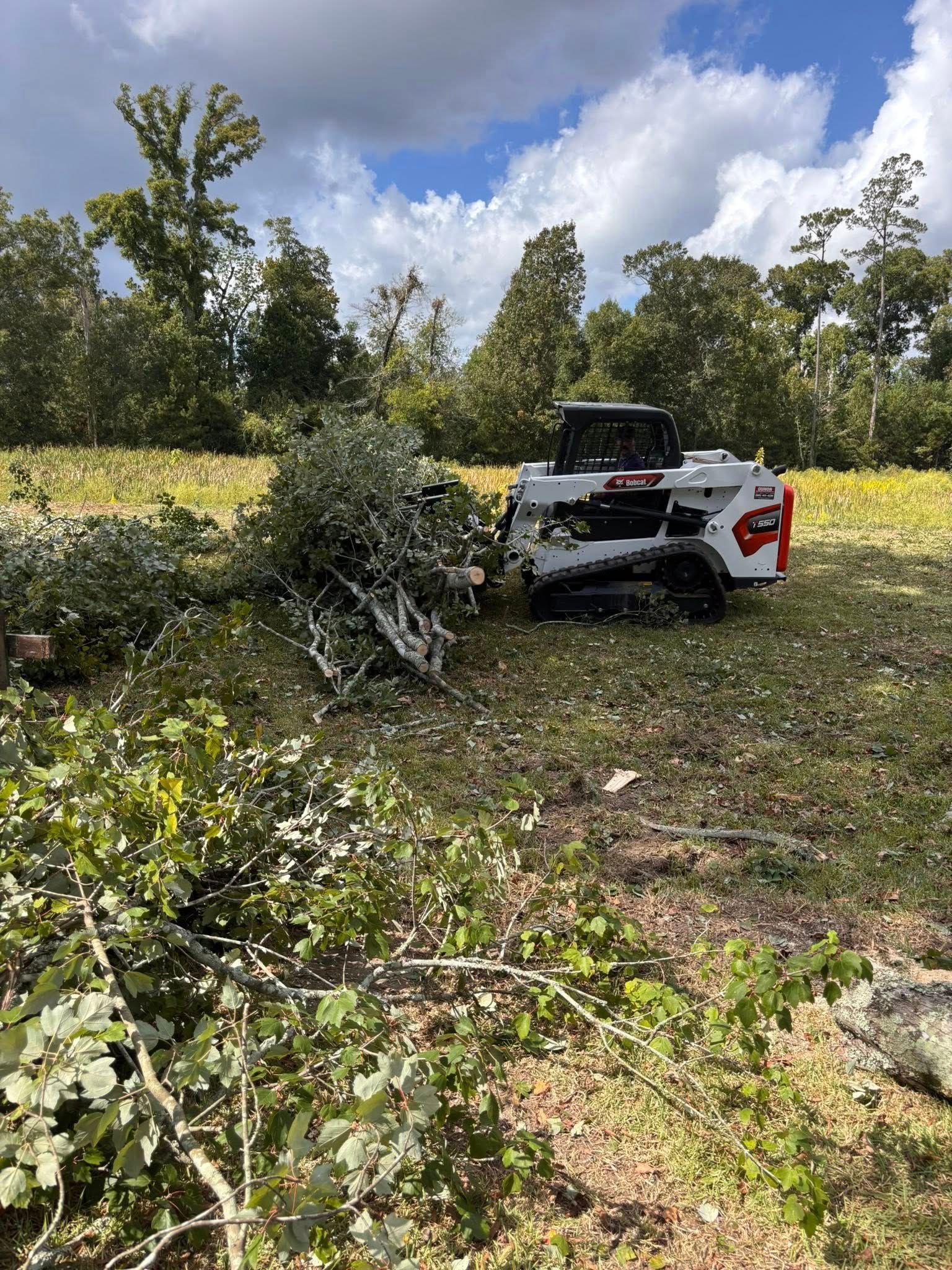 A white skid-steer loader sits in a grassy, partially cleared field in front of a tree line under a cloudy sky.