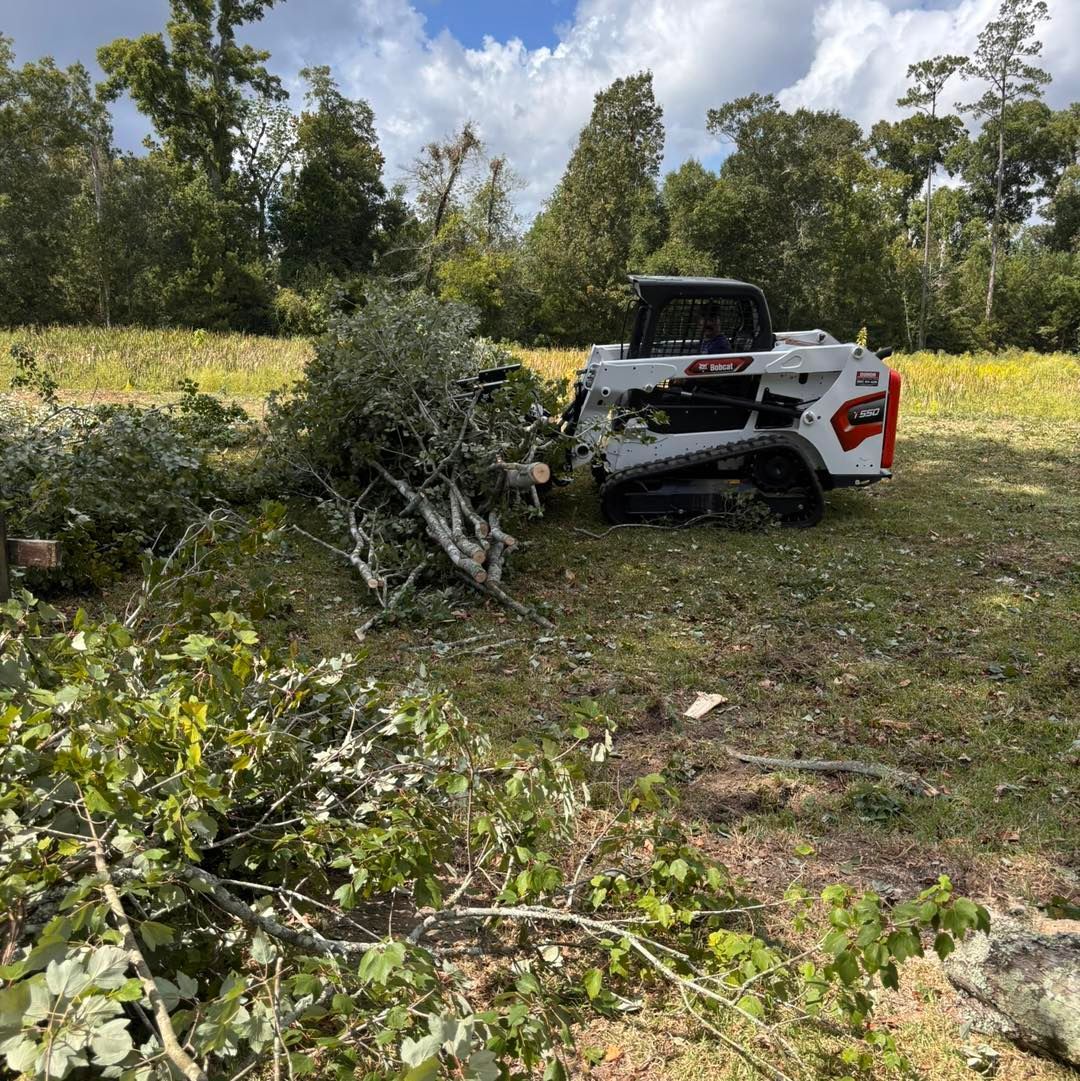 A white Bobcat compact track loader moving a pile of cut tree branches in a sunny, grassy field near a forest.