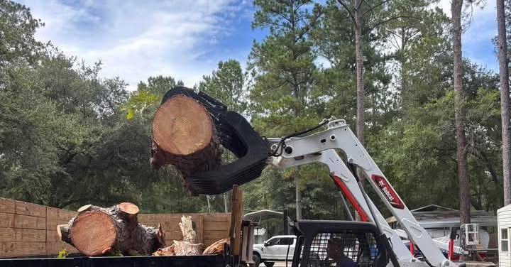 A white skid steer loader uses a black log grapple to lift a cut pine log into the back of a truck in a wooded area.