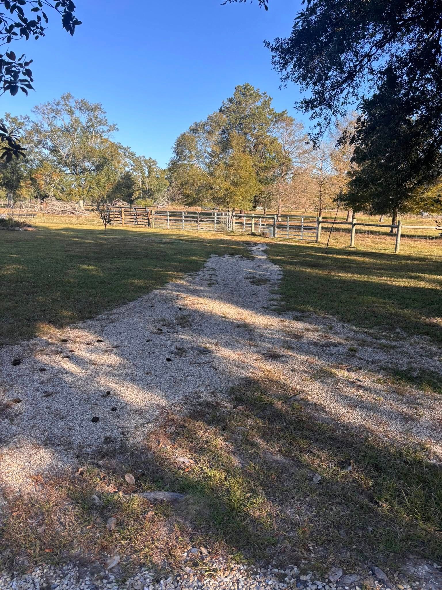 A gravel path leads through a grassy field toward a wire fence and trees under a clear blue sky.