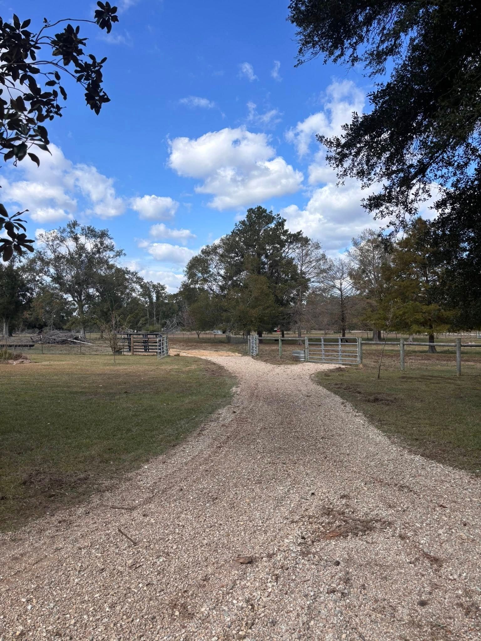 A gravel path leads through a grassy field toward trees under a bright blue sky with scattered clouds.