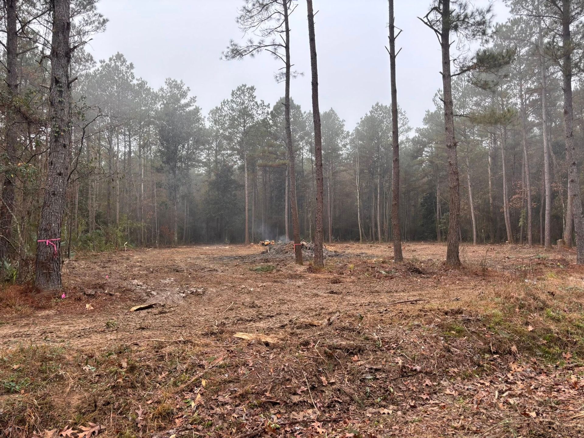 A clearing in a pine forest on a foggy day, with a small pile of smoking debris in the center.