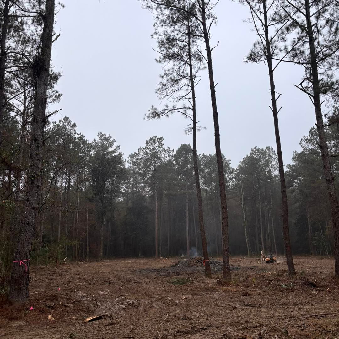 A cleared dirt lot in a pine forest, with a small pile of smoldering debris in the center under a gray, overcast sky.