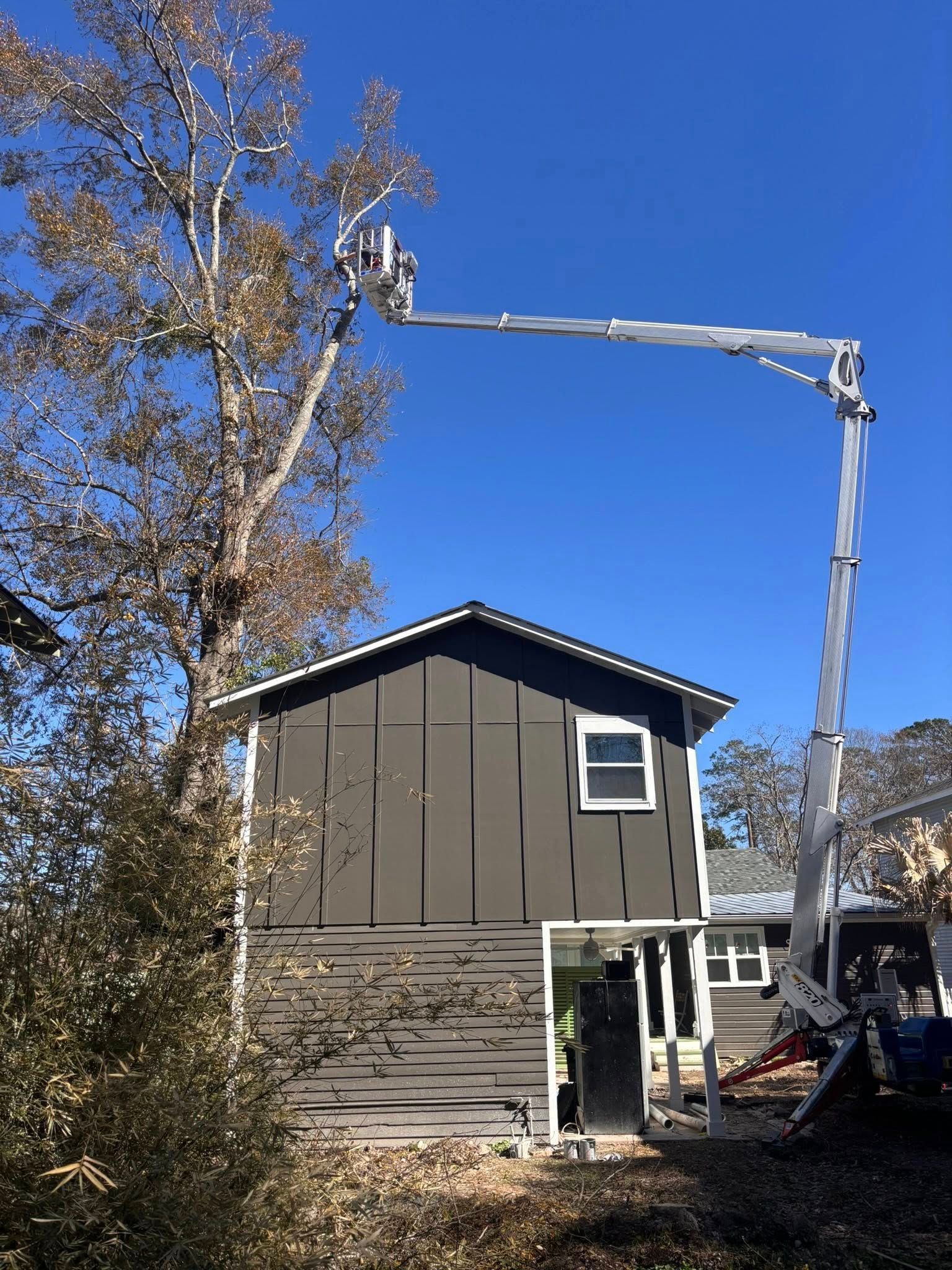 A worker in a cherry picker bucket trims the top of a tree next to a two-story house with dark grey vertical siding.