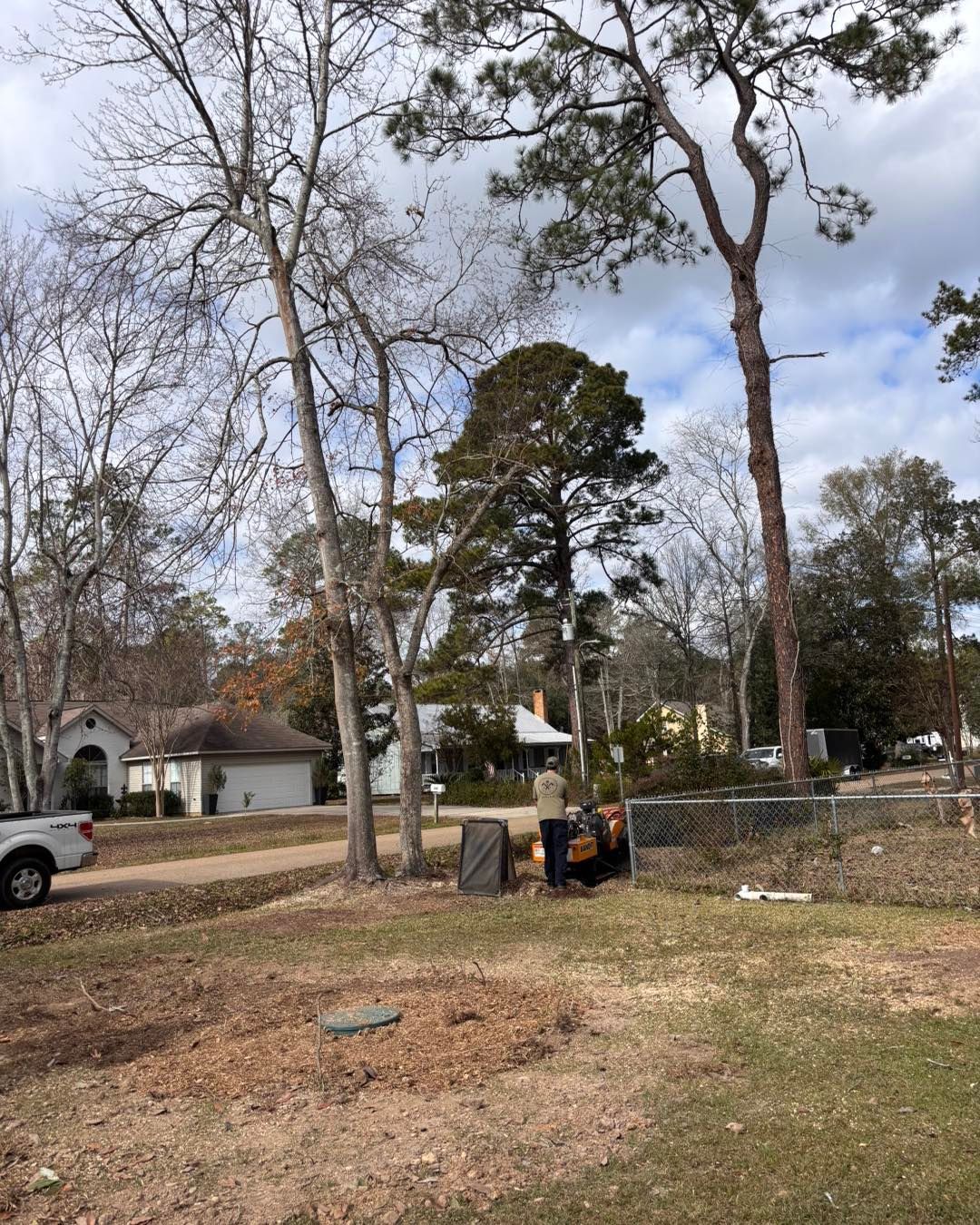 A person uses a walk-behind stump grinder in a residential yard near tall trees and houses.