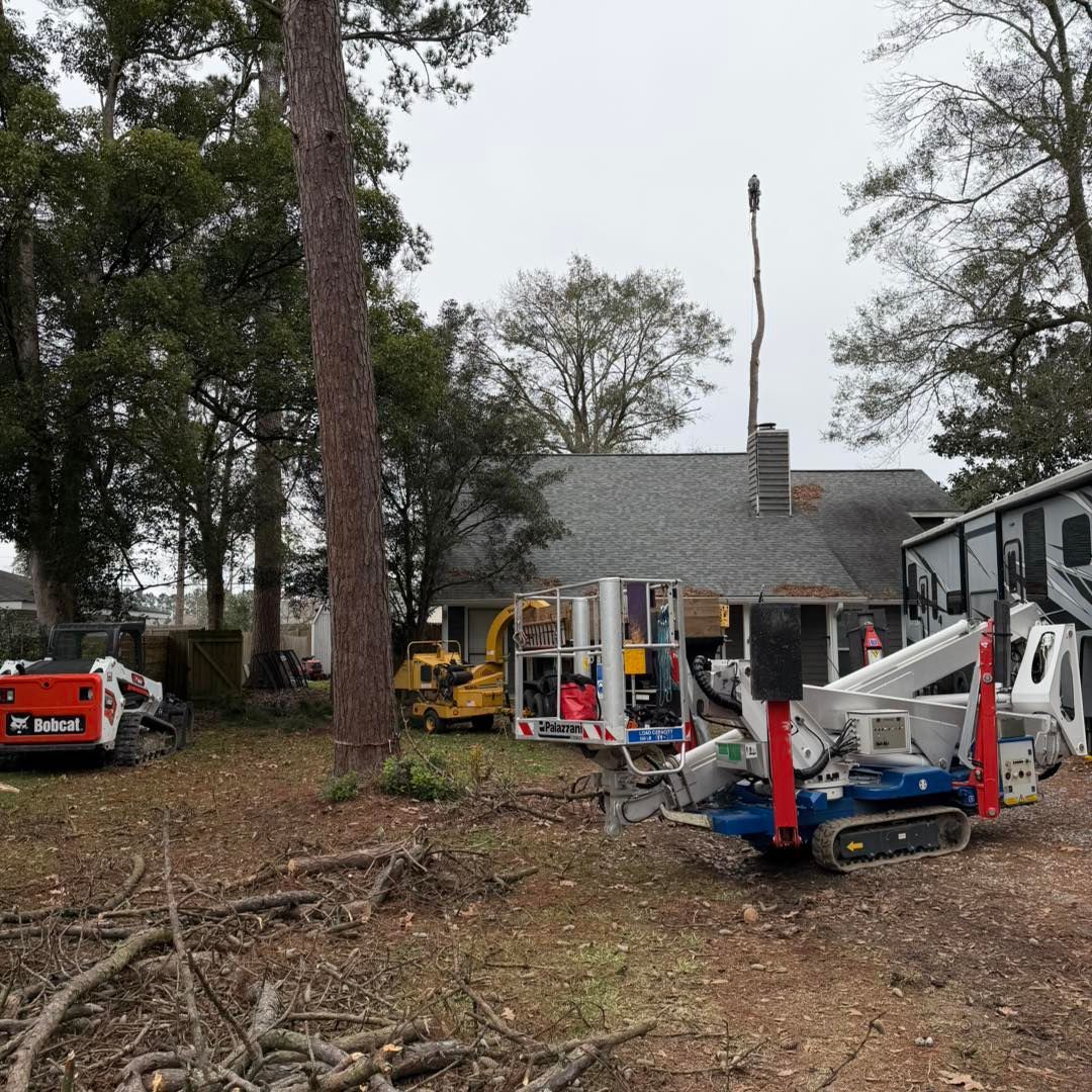 Tree removal equipment, including a red Bobcat skid steer and a blue crawler lift, parked in a yard near a house.