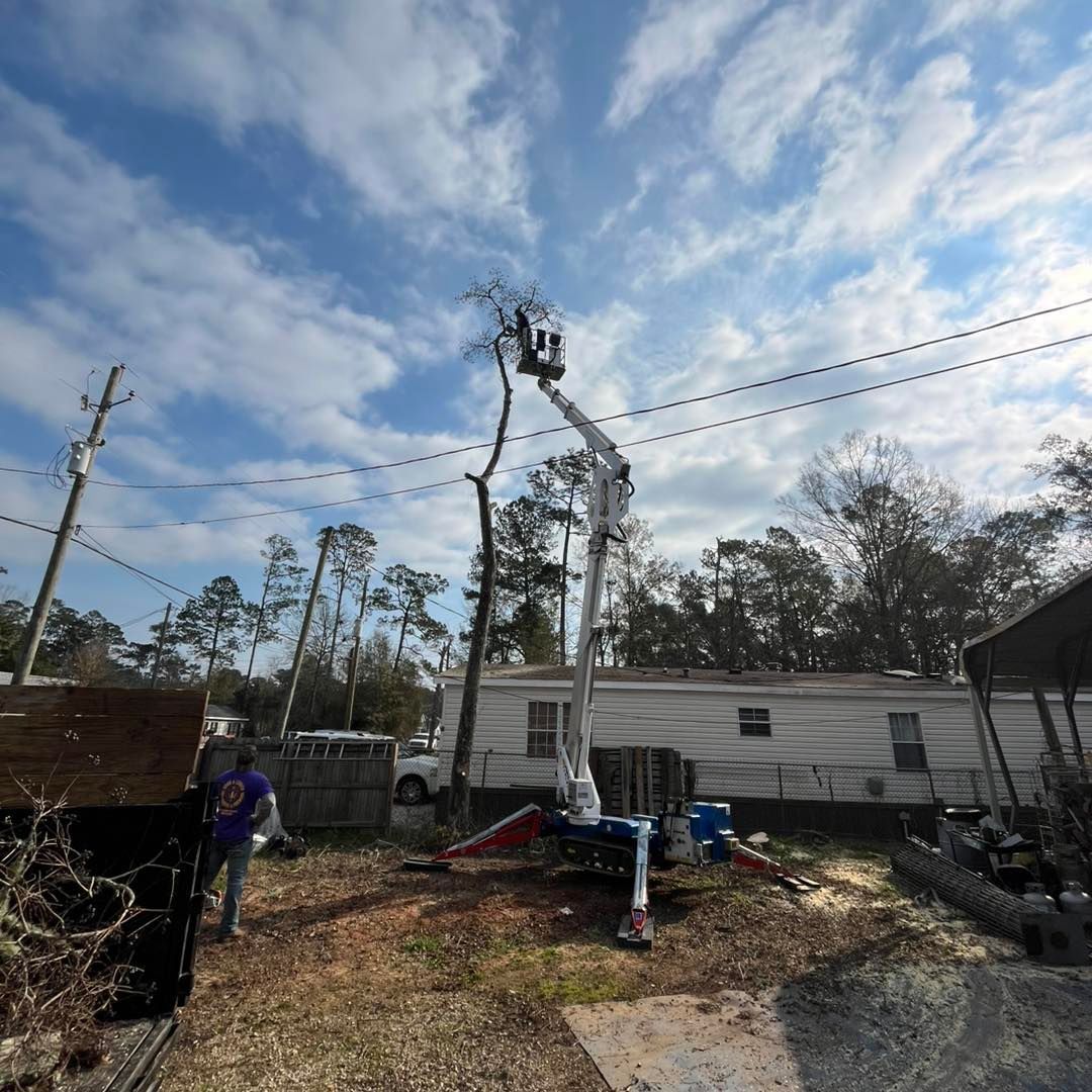A person operates a cherry picker lift to trim a tall tree in a residential yard near a white mobile home.