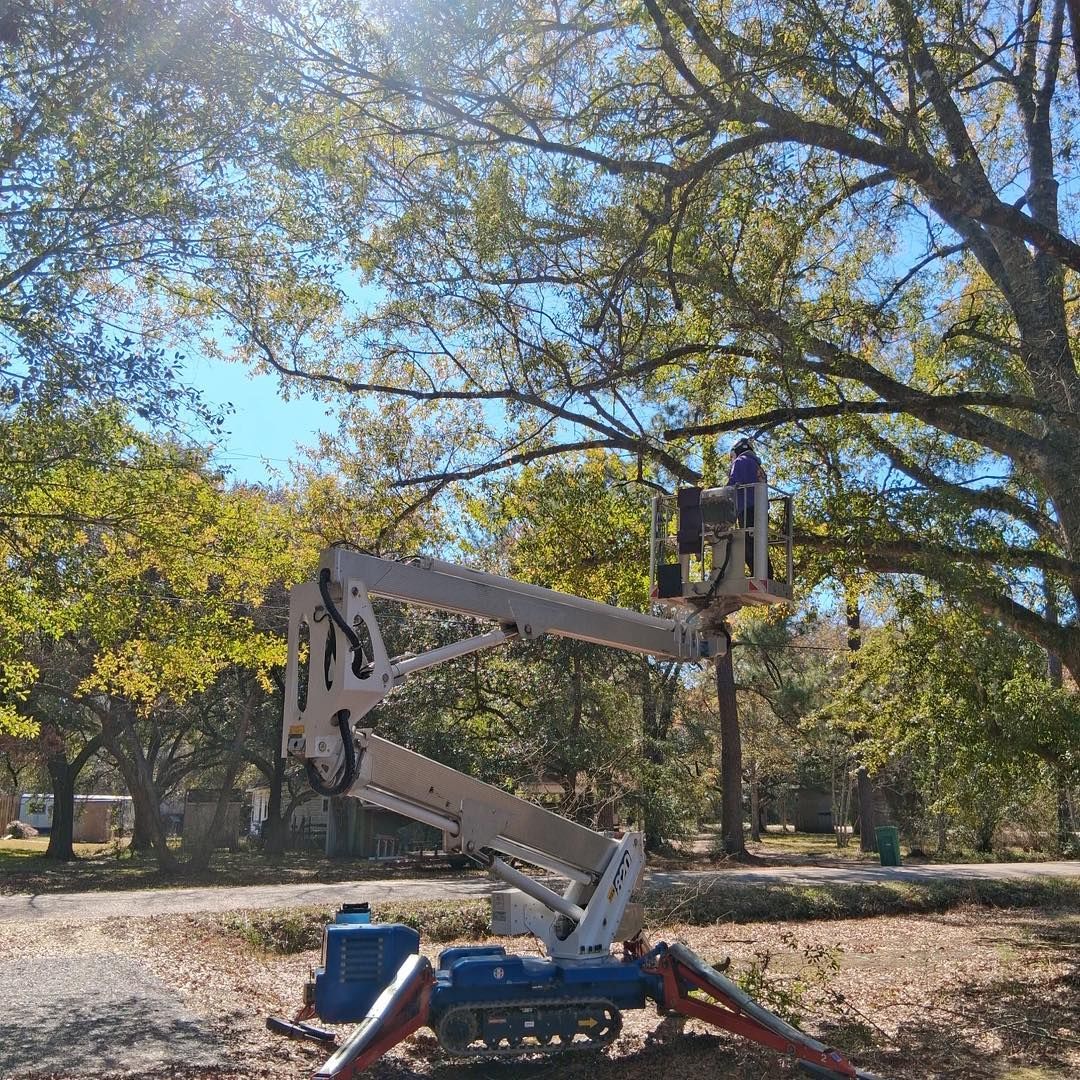 A person in a boom lift basket performs tree maintenance, surrounded by trees under a bright blue sky.