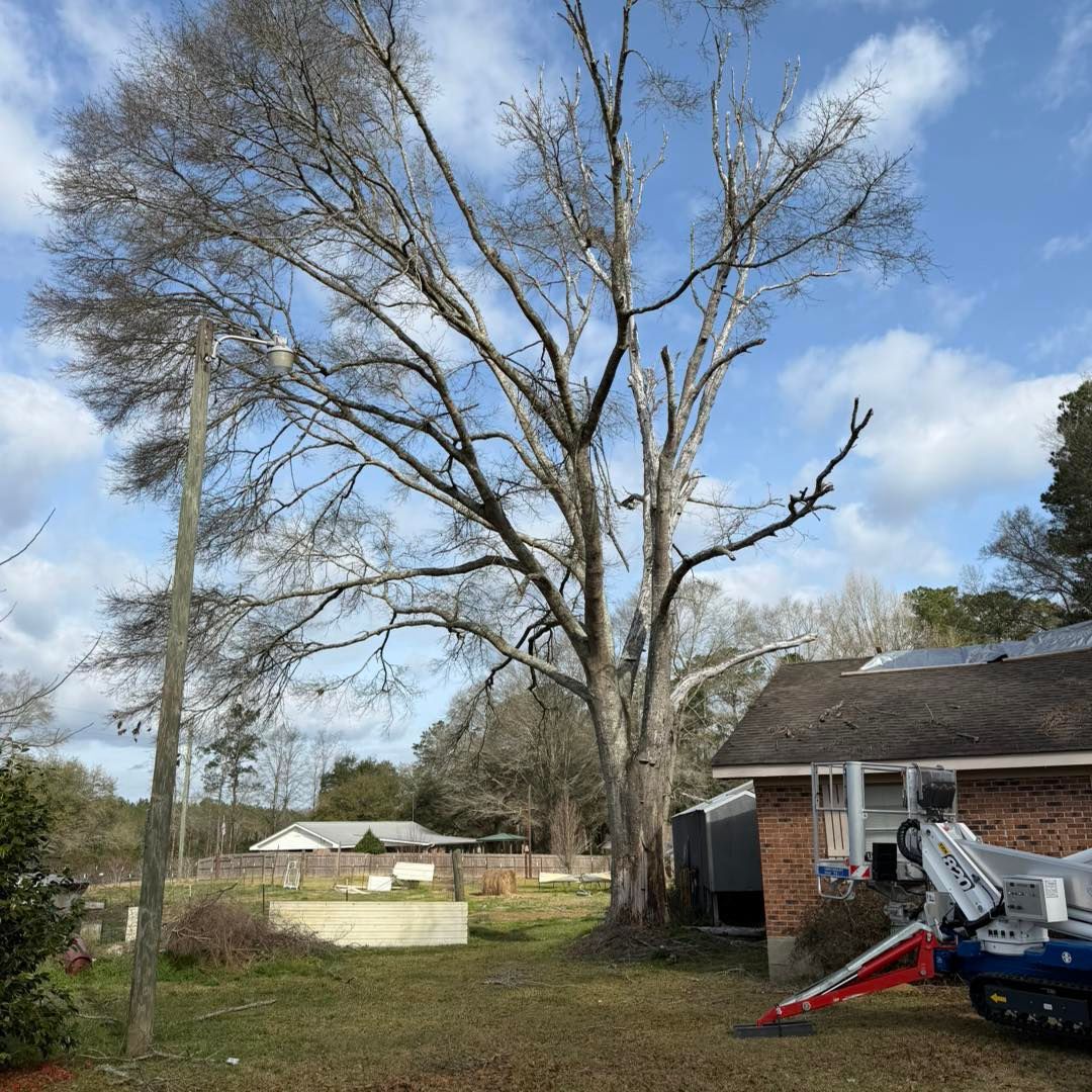 A large, bare tree stands next to a brick house with an aerial lift parked on the lawn under a partly cloudy blue sky.