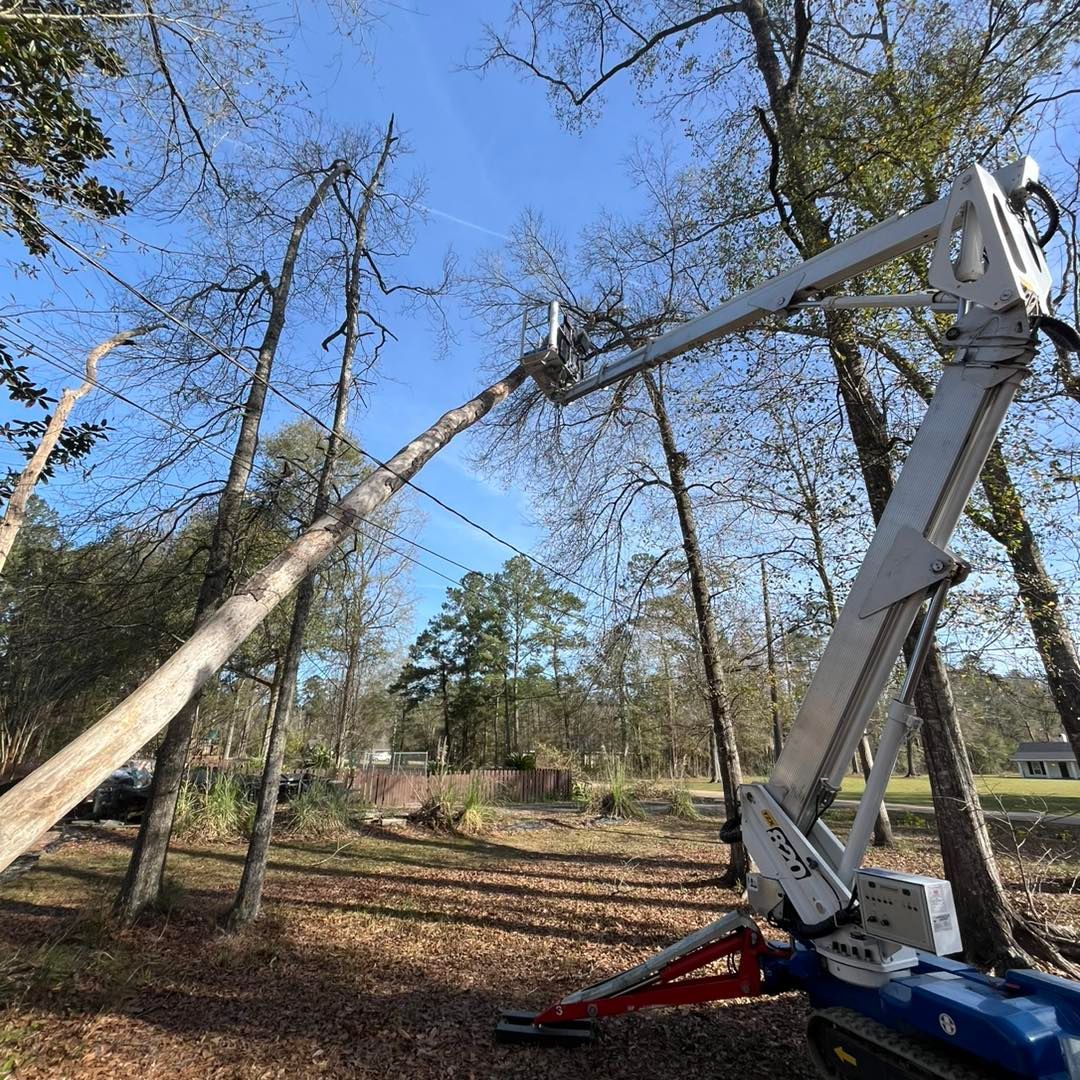 A white aerial lift machine in a wooded yard with an extended boom reaching up toward a tall tree.