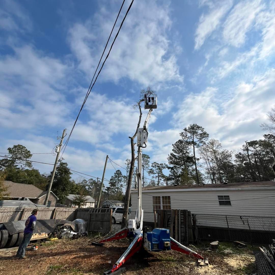 A person operates a cherry picker lift to trim tree branches near overhead power lines in a residential yard.