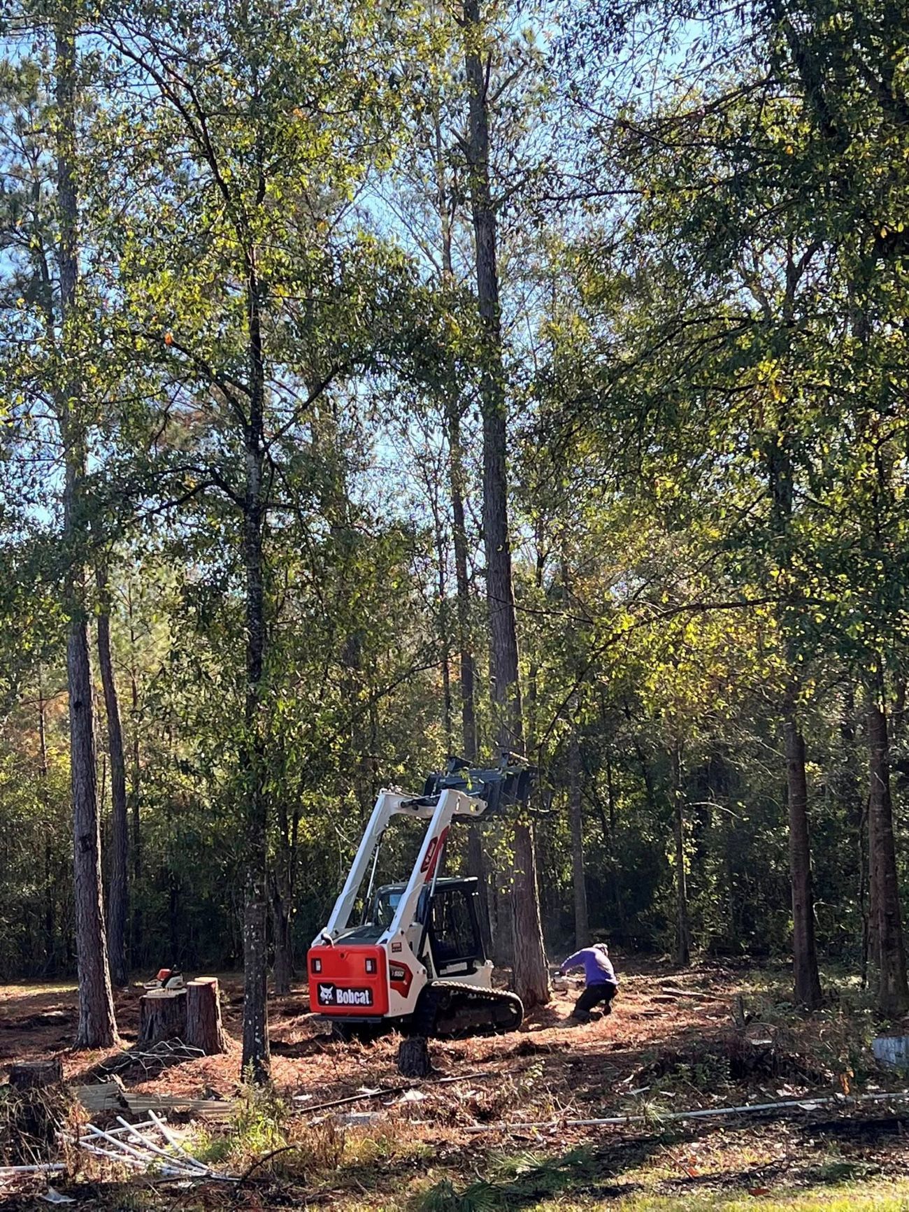 A skid steer loader operates in a wooded area, with a person standing nearby amidst trees and cleared brush.