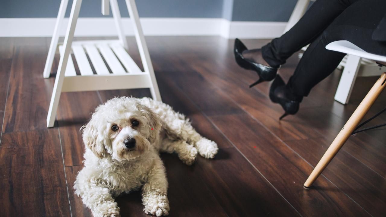 Durable flooring for pets