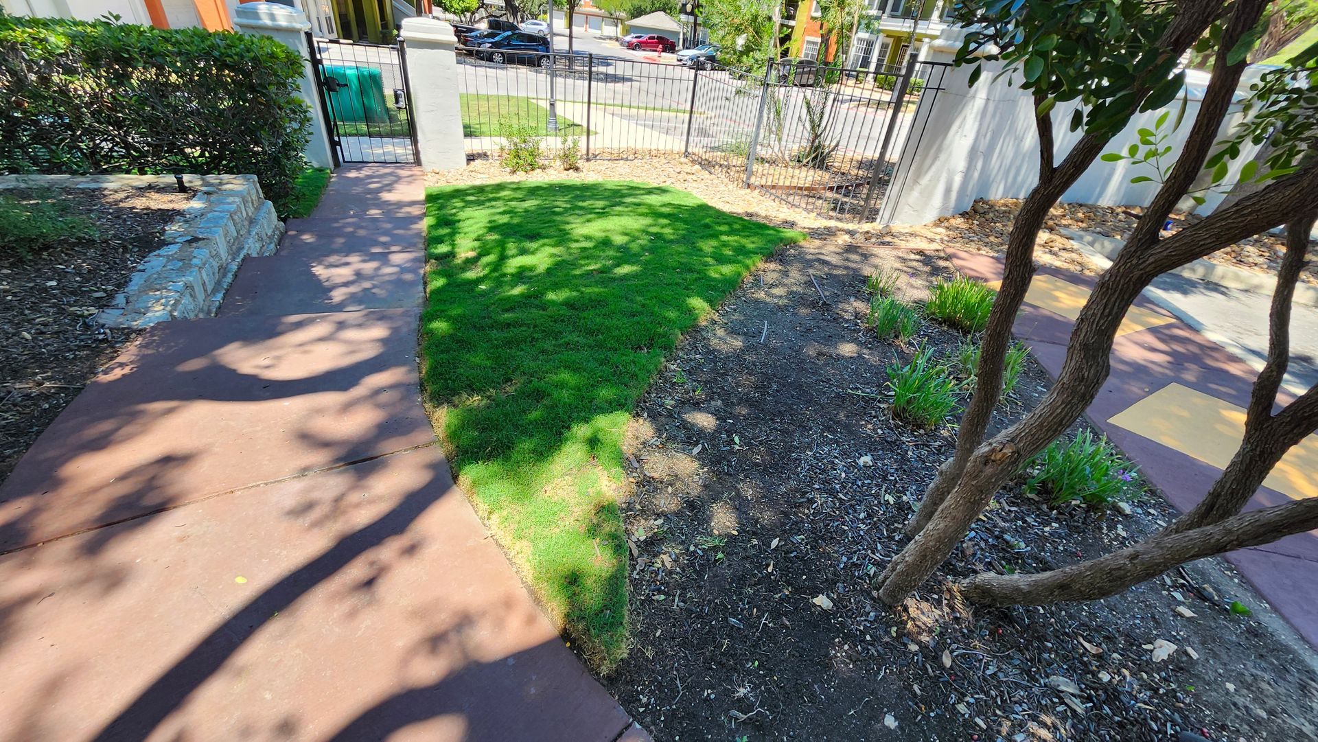 A front yard with a lawn, flowerbed, and sidewalk. A tree on the right casts a shadow.