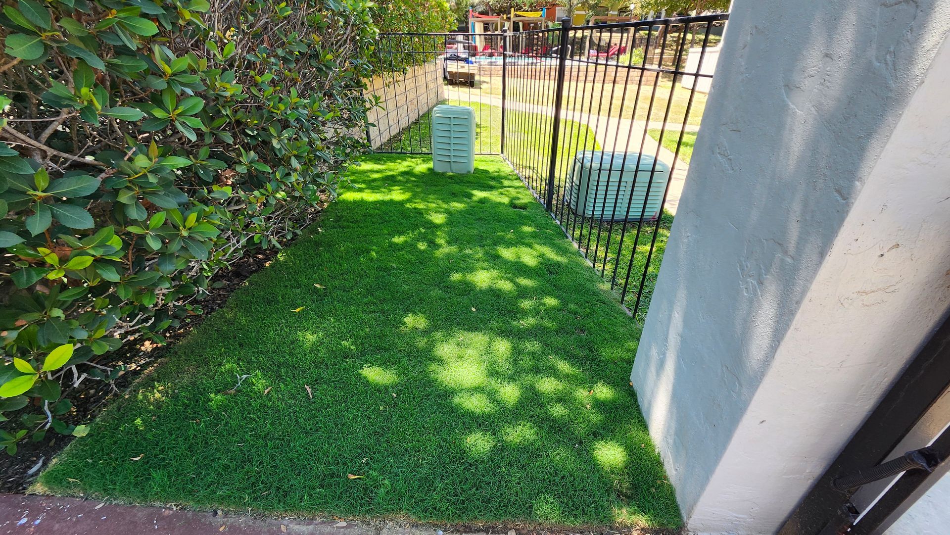 Green grass patch between a leafy bush and a gray wall, with a black fence and road visible.