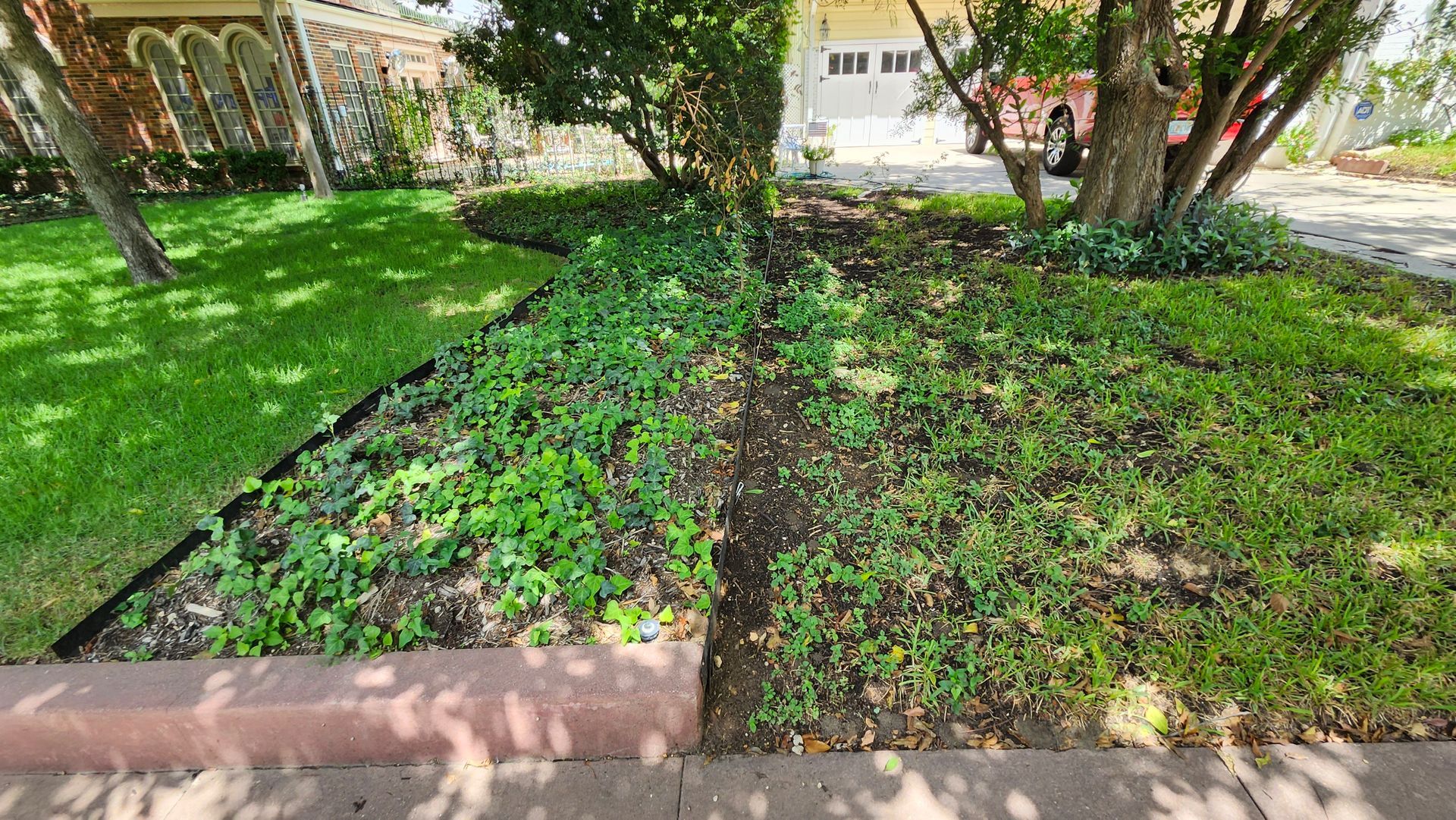 Lush green lawn and ground cover border a brick sidewalk, with a tree in the center.