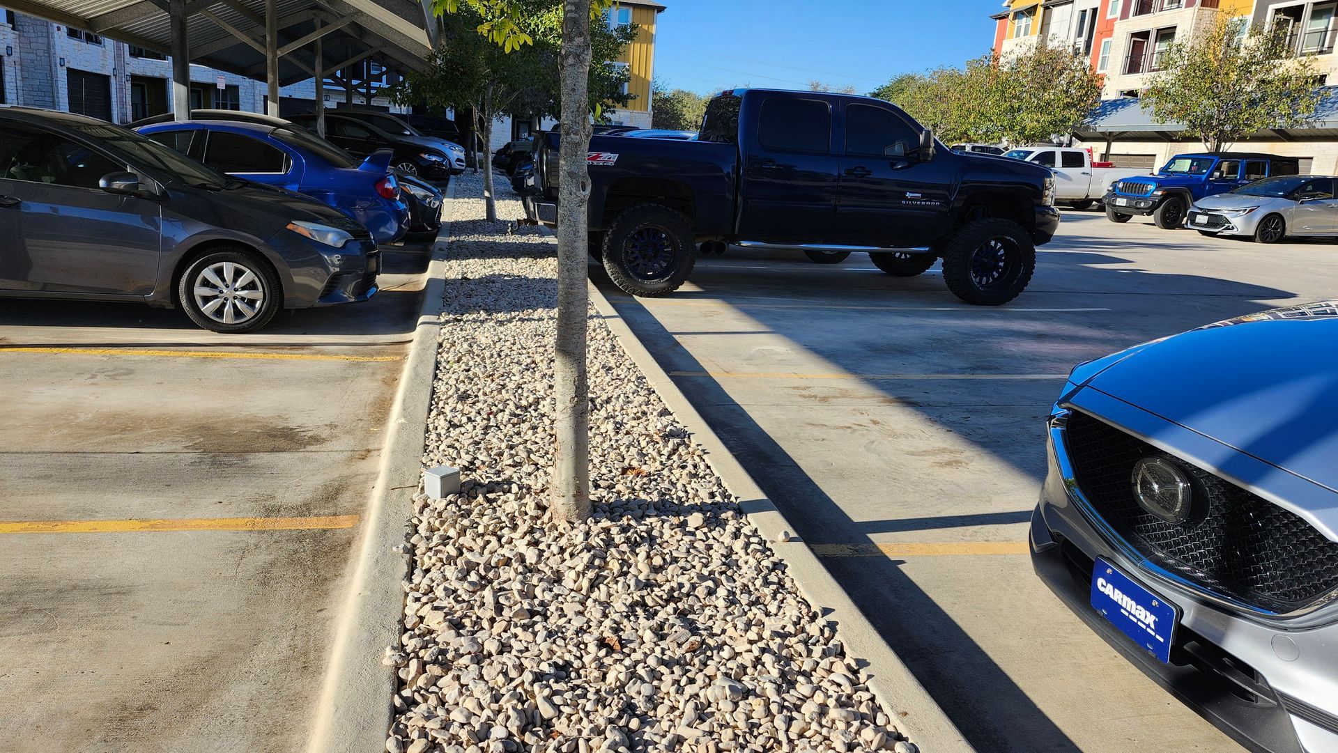 Black pickup truck parked in a parking lot, near other cars and a tree.