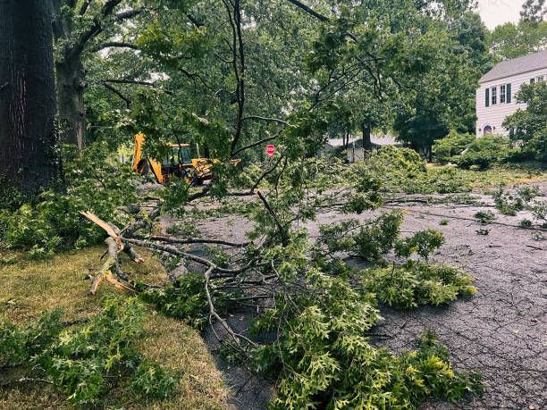 A fallen tree limb blocks a residential street with a yellow construction vehicle visible in the background.
