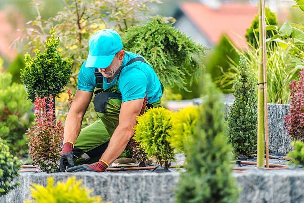 A before and after picture of a door mat on the side of a house.