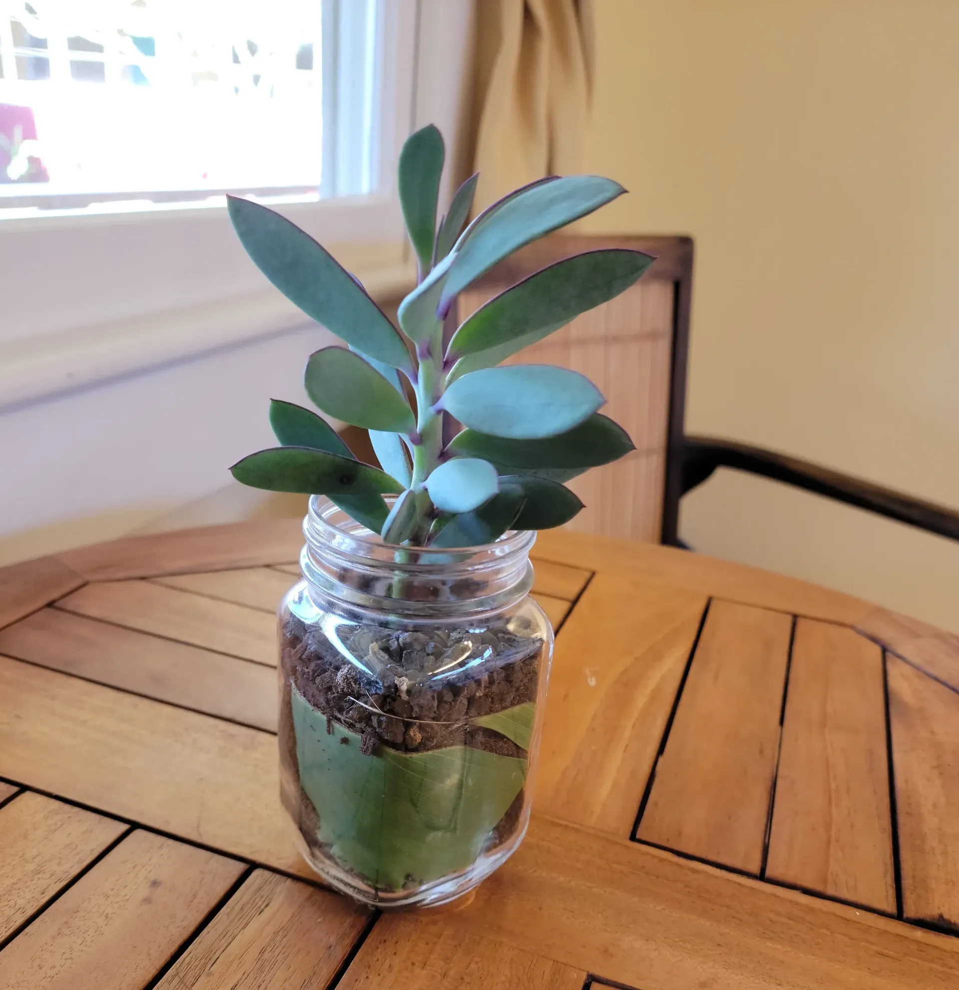 A dining room with a long table and chairs and red walls