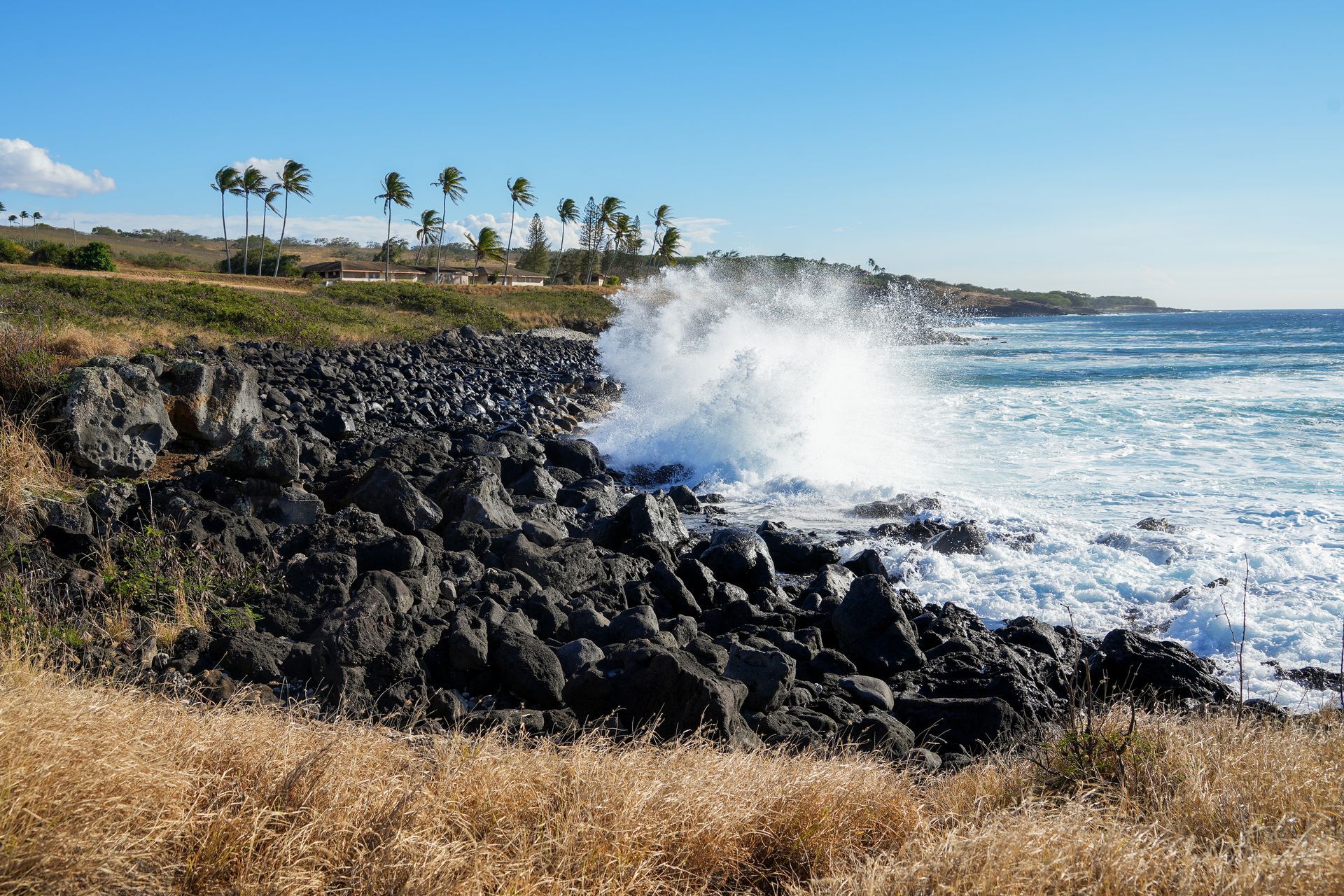 Waves crashing against a rocky shoreline with palm trees in the background.