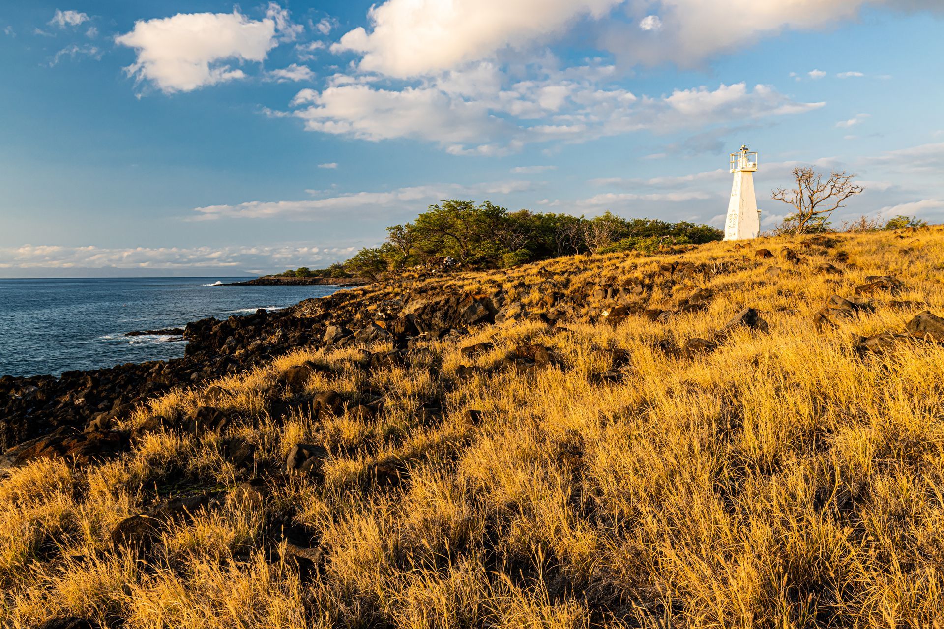 A lighthouse is sitting on top of a grassy hill near the ocean.