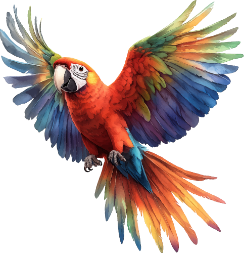 A colorful parrot is flying in the air with its wings spread