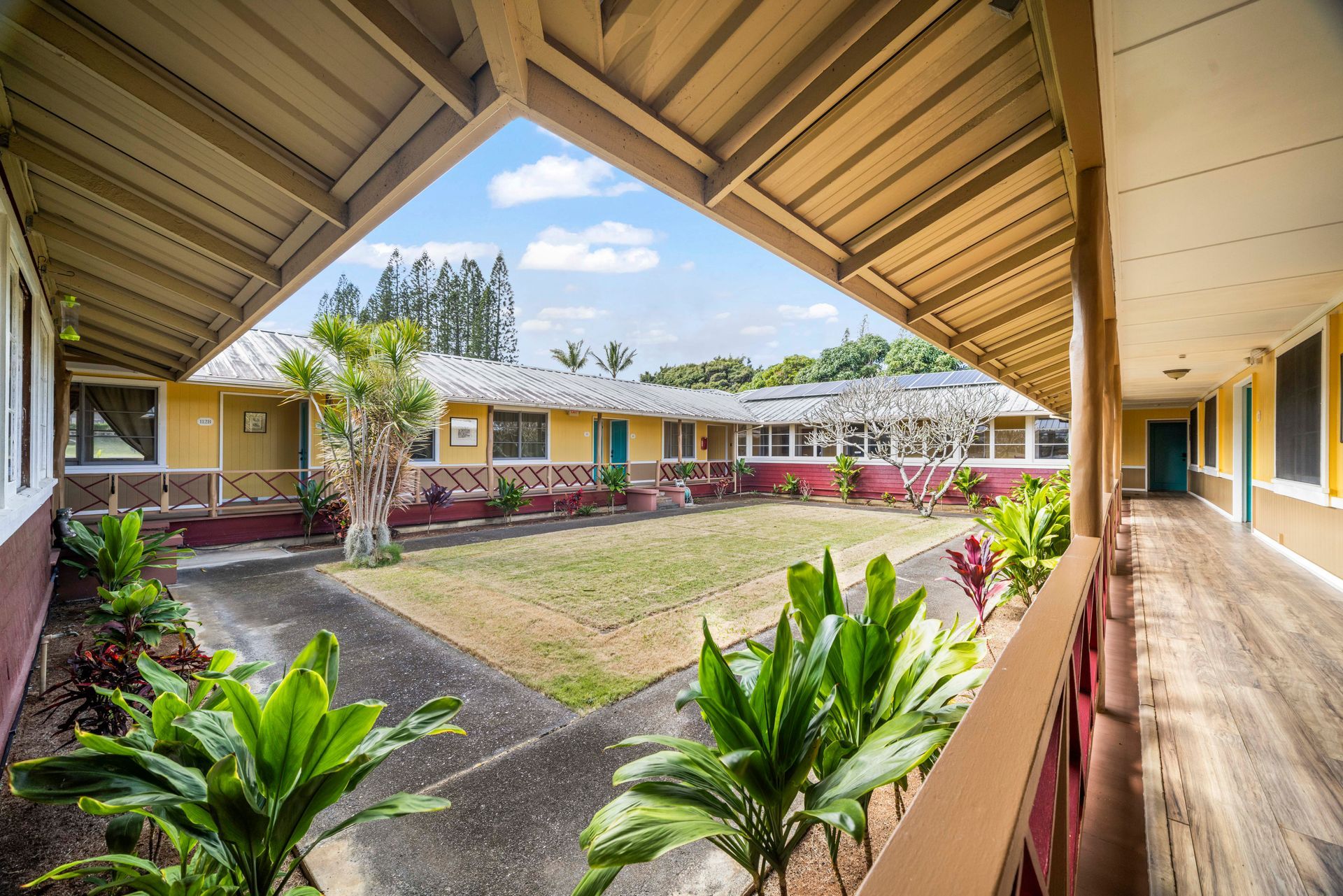 A house with a lot of plants in front of it