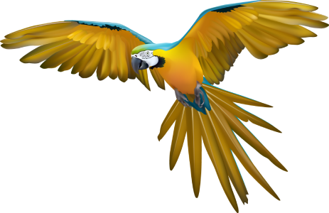 A colorful parrot is flying in the air with its wings spread