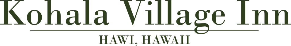 A logo for a bed and breakfast called sabal palm house