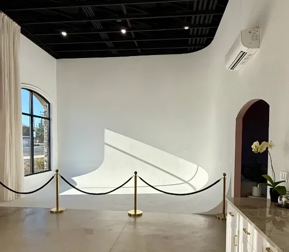 Interior of a white-walled room with black ceiling. Black rope barriers run in front of a curved wall with light from a window.