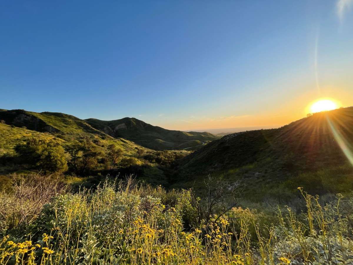 Peaceful La Mesa landscape with warm sunlight.