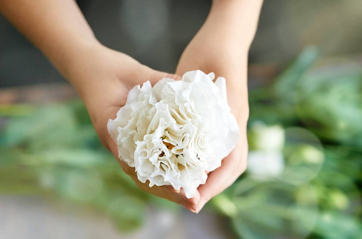 Person holding a white flower symbolizing healing through funeral planning in Lemon Grove