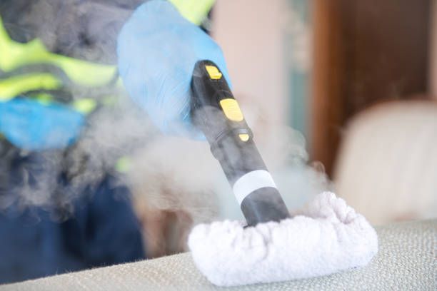 A person is cleaning a couch with a steam cleaner.