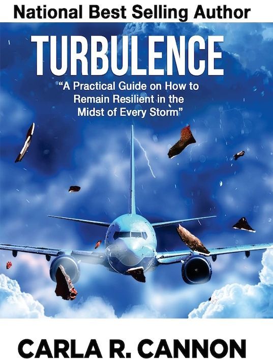 Turbulence Book Cover