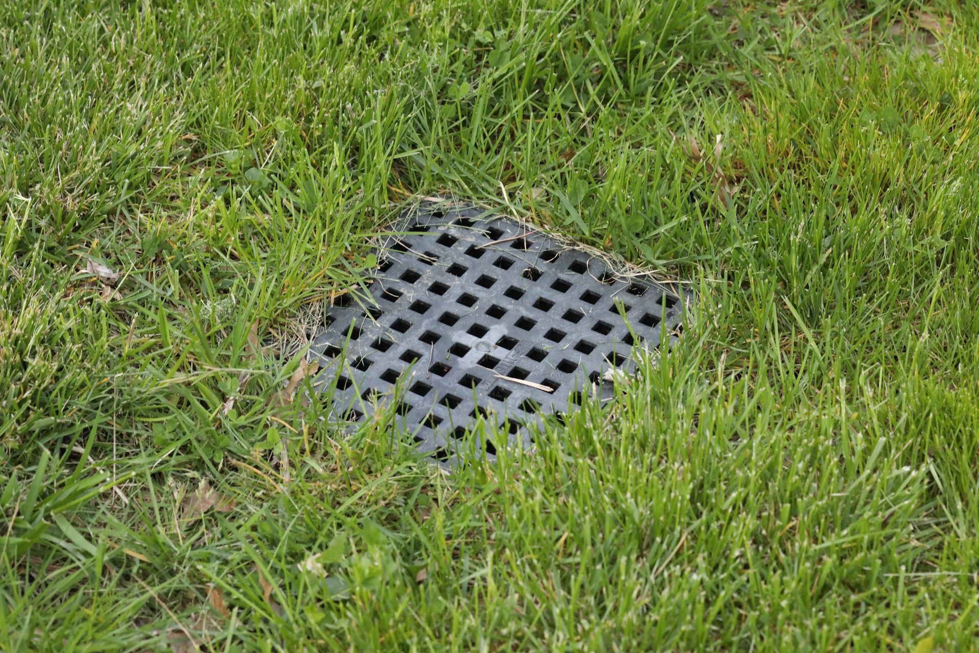 Drainage Systems — Cookeville, TN — Legacy Landscape and Design