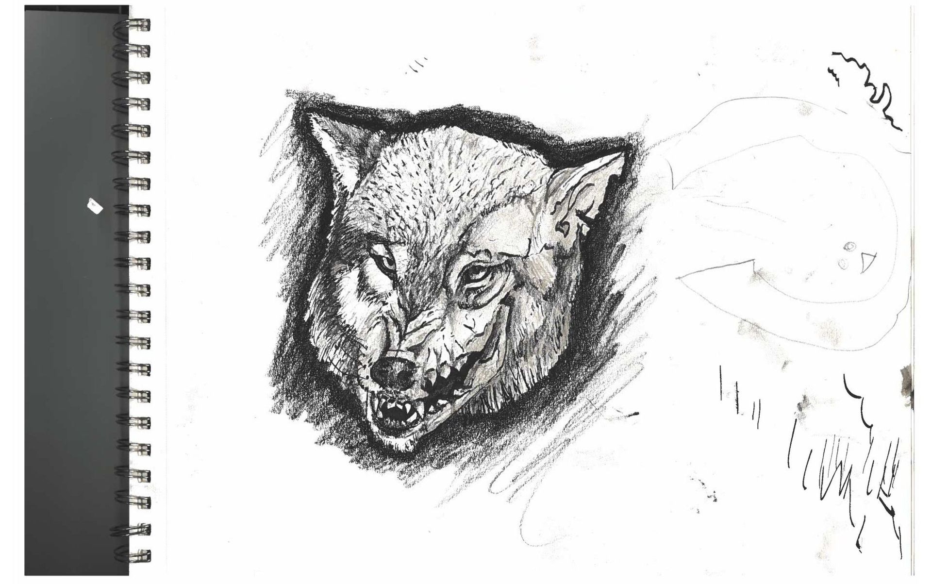 A detailed sketch of a wolf, showcasing its fierce expression and intricate fur details against a plain background