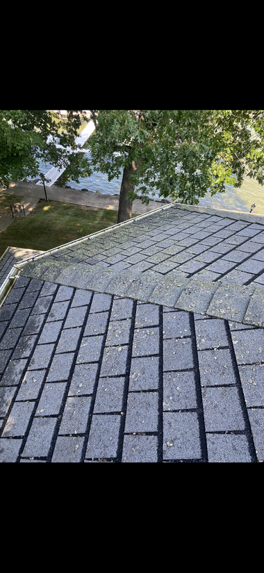 A view from above showing a grey shingled roof next to a lush green tree and a glimpse of a yard below.