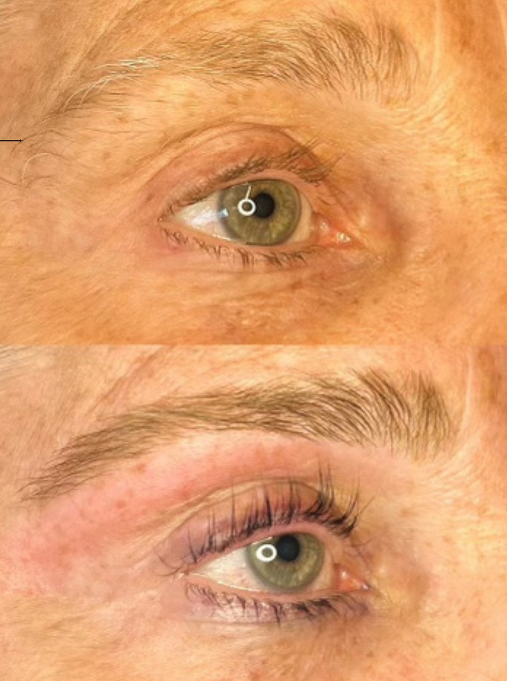 Brow Wax and Tint