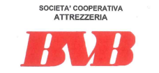 Logo  BVB