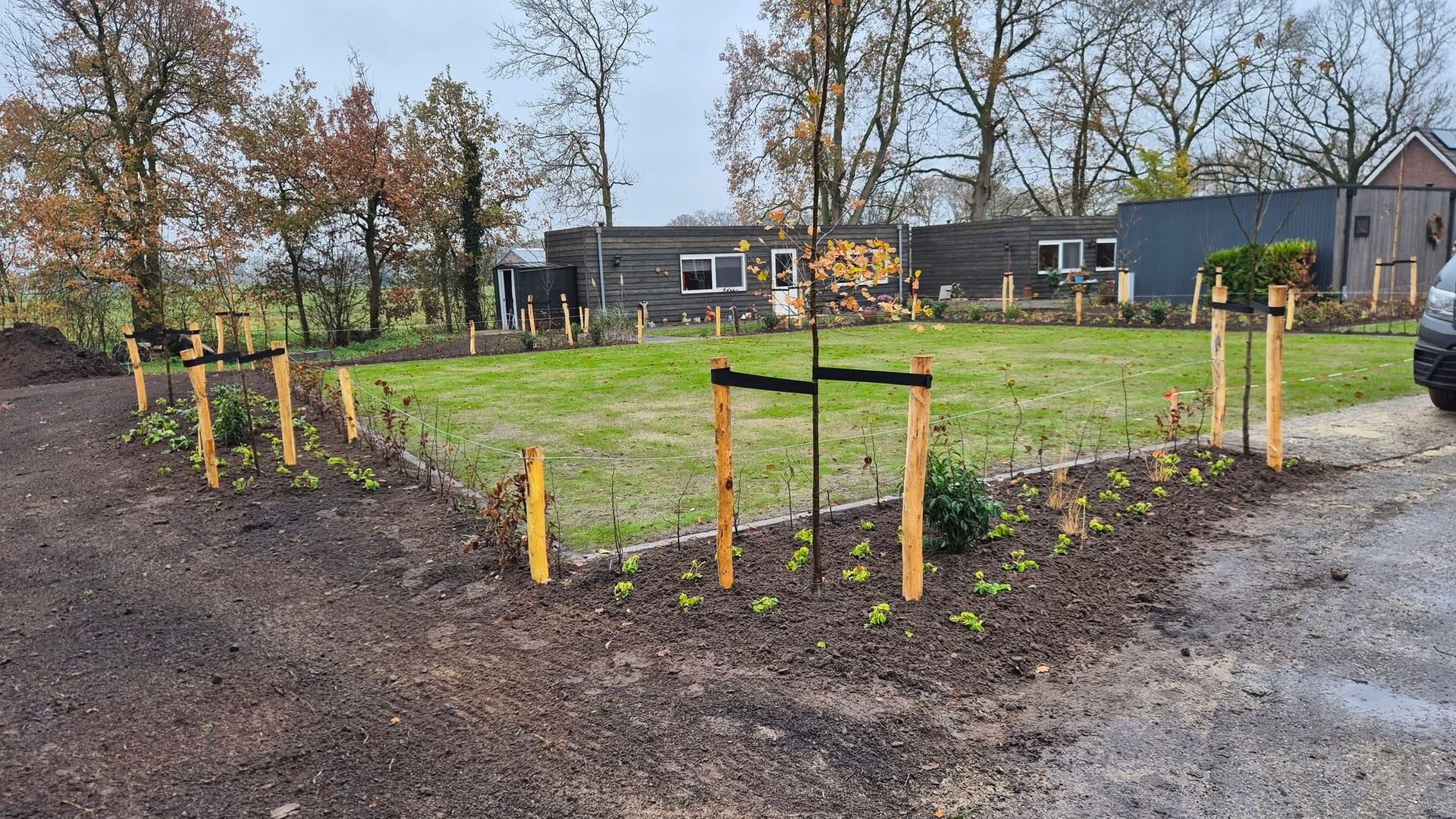 Nieuw aangeplante bomen in een grasveld, beschermd door robinia houten palen. 