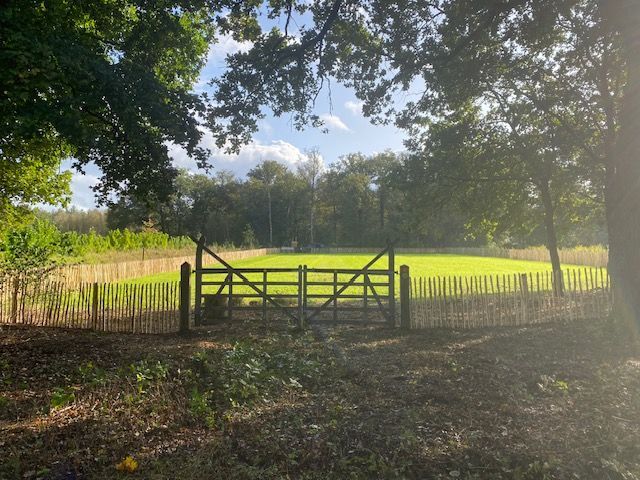 Een veld met een engelse poort op de voorgrond en bomen op de achtergrond.