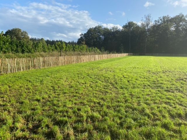 Een grasveld met een houten schapenhek op de achtergrond.