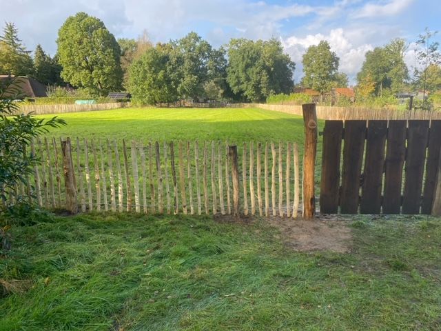 Robinia hekwerk omringt een grasveld met bomen op de achtergrond.